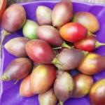 Tamarillo: Buah Eksotis yang Kaya Manfaat